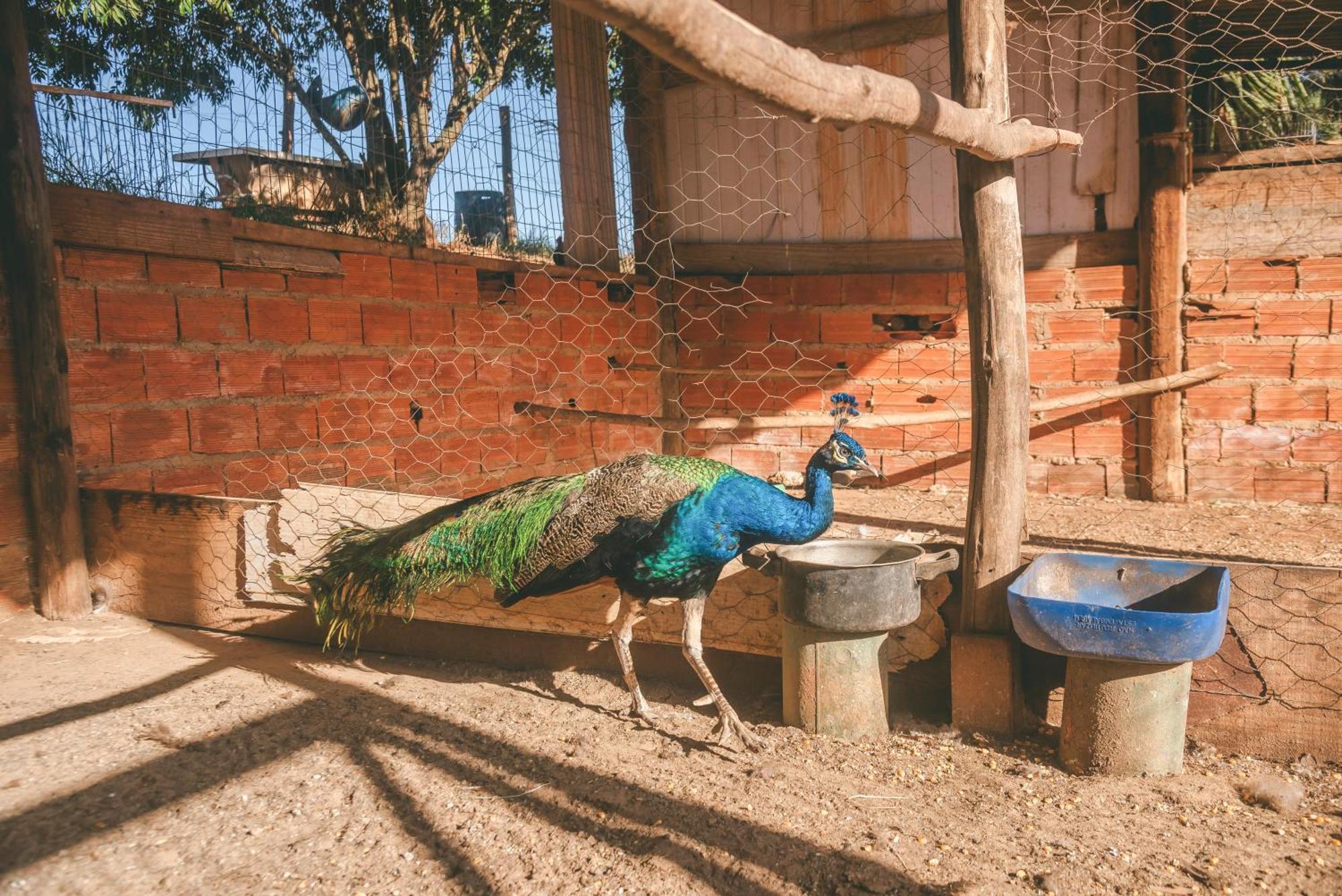 Hotel Fazenda Reviver Araçoiaba da Serra Kültér fotó