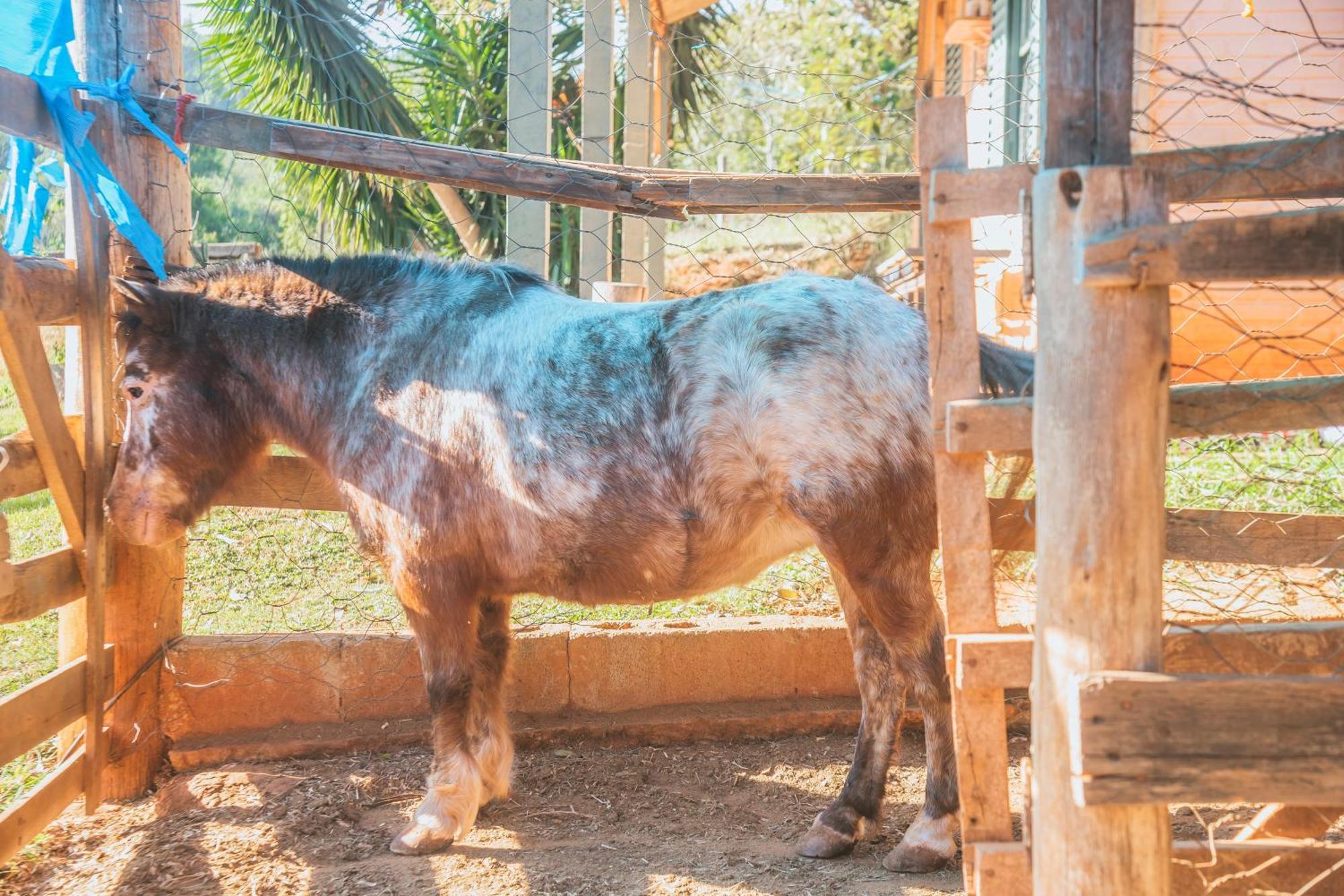 Hotel Fazenda Reviver Araçoiaba da Serra Kültér fotó