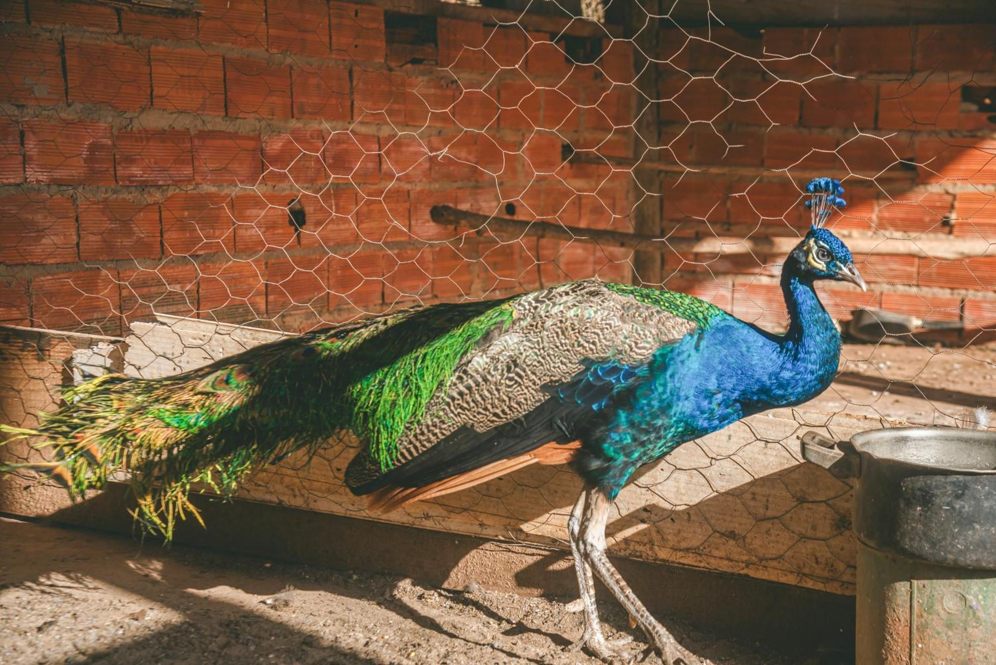 Hotel Fazenda Reviver Araçoiaba da Serra Kültér fotó